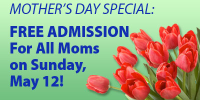 Mothers Day Special - Moms Free on May 12