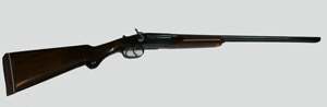 Long Gun