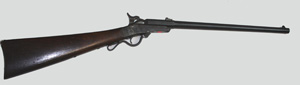 Long Gun