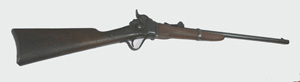 Long Gun